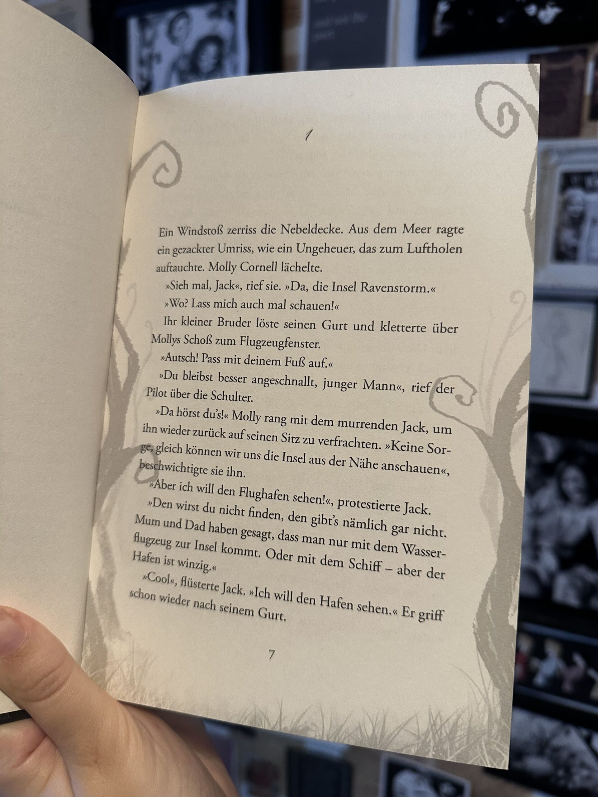 Die Geheimnisse von Ravenstorm Island